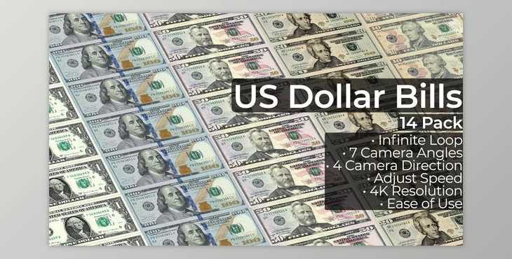 Download US Dollar Bills - 14 Pack (Videohive 33912561) - AE Project
