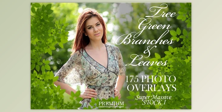 Download 175 Green Tree Branches Overlays