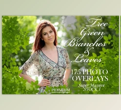 Download 175 Green Tree Branches Overlays